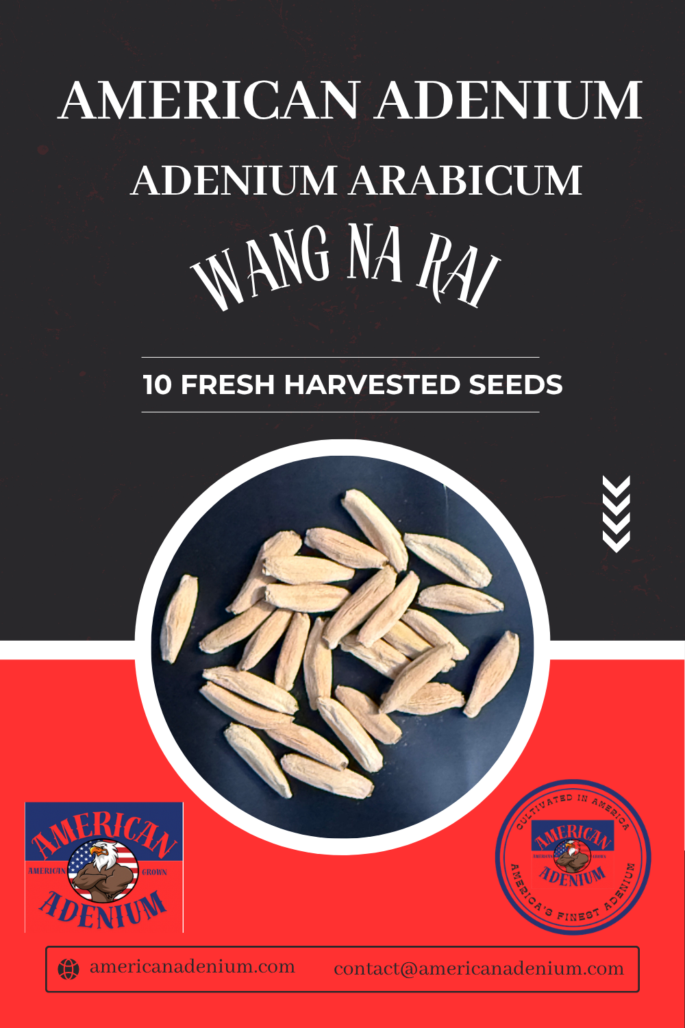 Adenium arabicum 'Wang Na Rai' — Premium Thai Bonsai Form Seeds