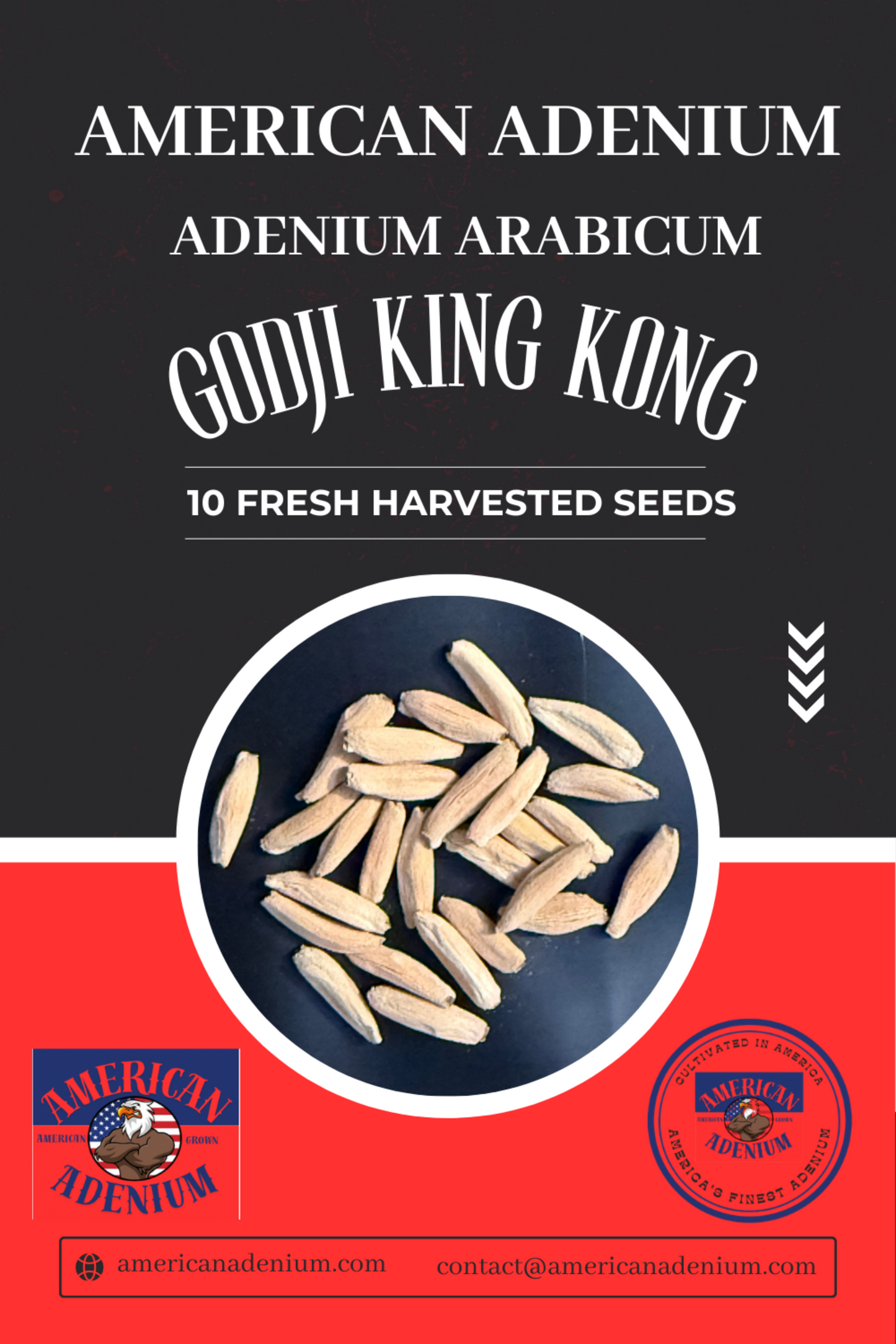 Adenium Arabicum Godji King Kong 10 Seeds