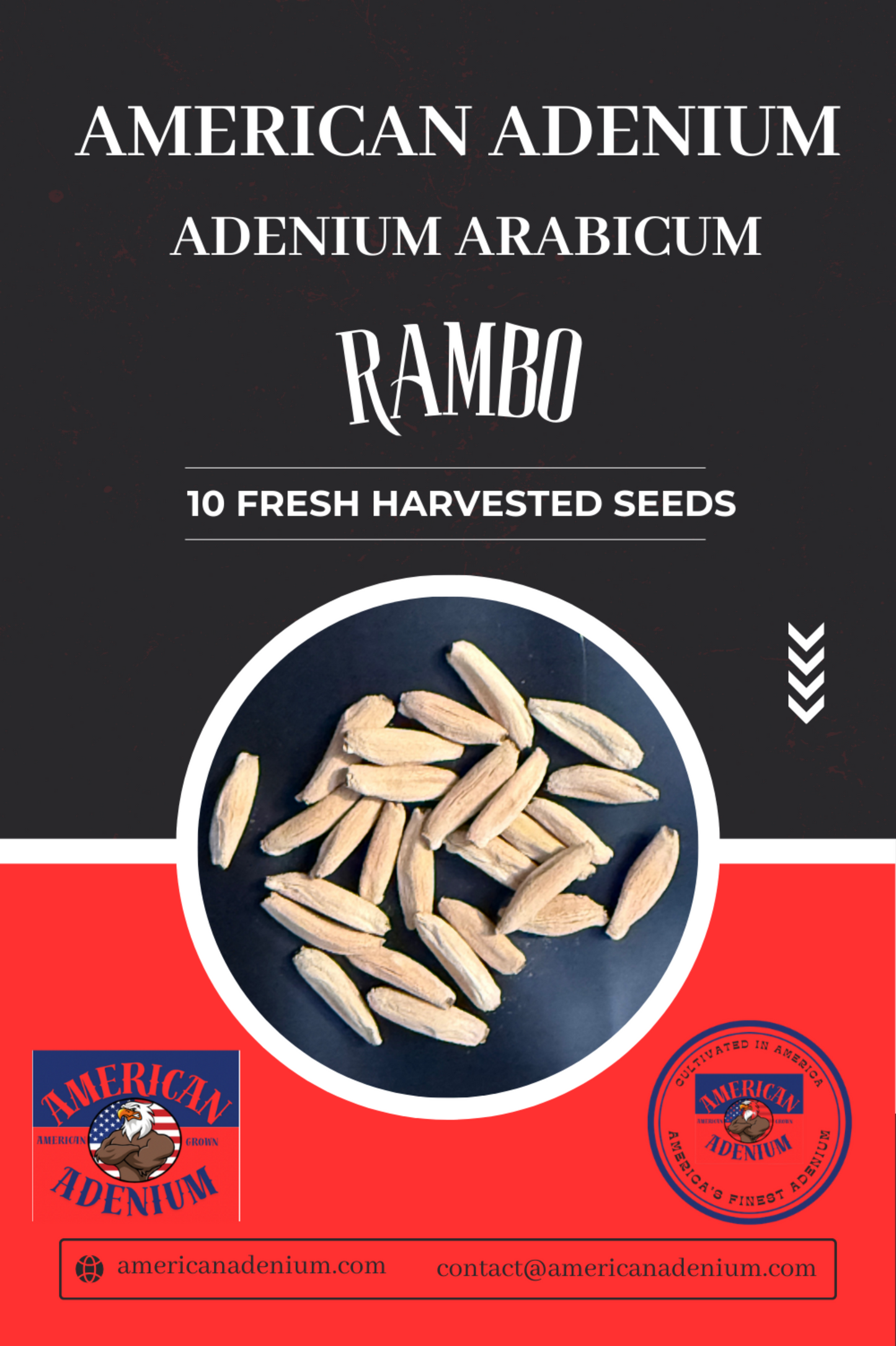 Adenium Arabicum Rambo 10 Seeds