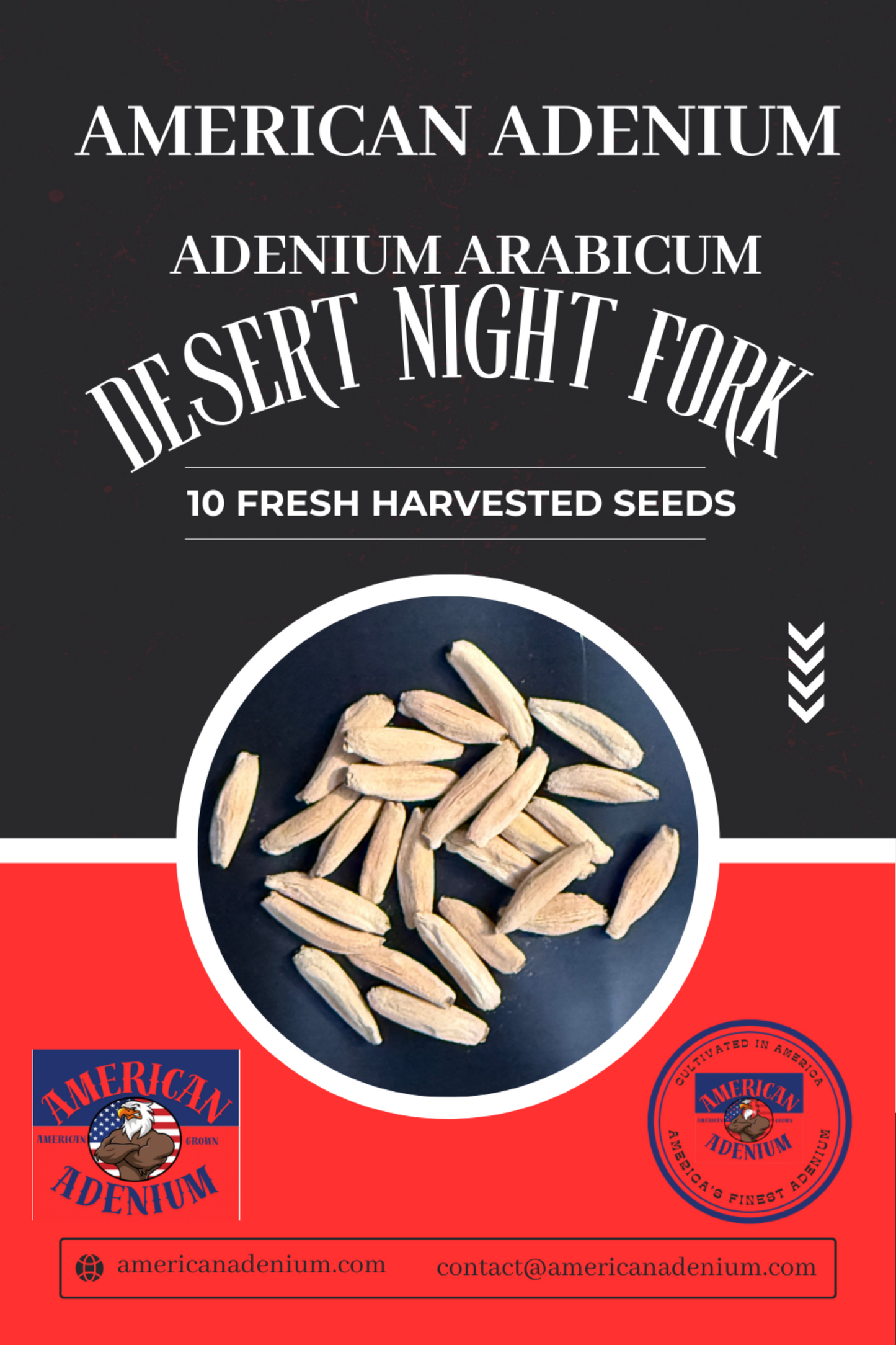 Adenium Arabicum Desert Night Fork Seeds Qty 10 seeds