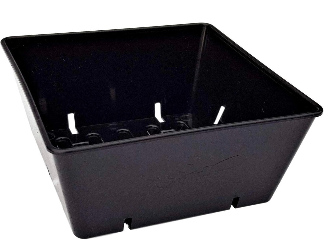 5x5 Germination Tray