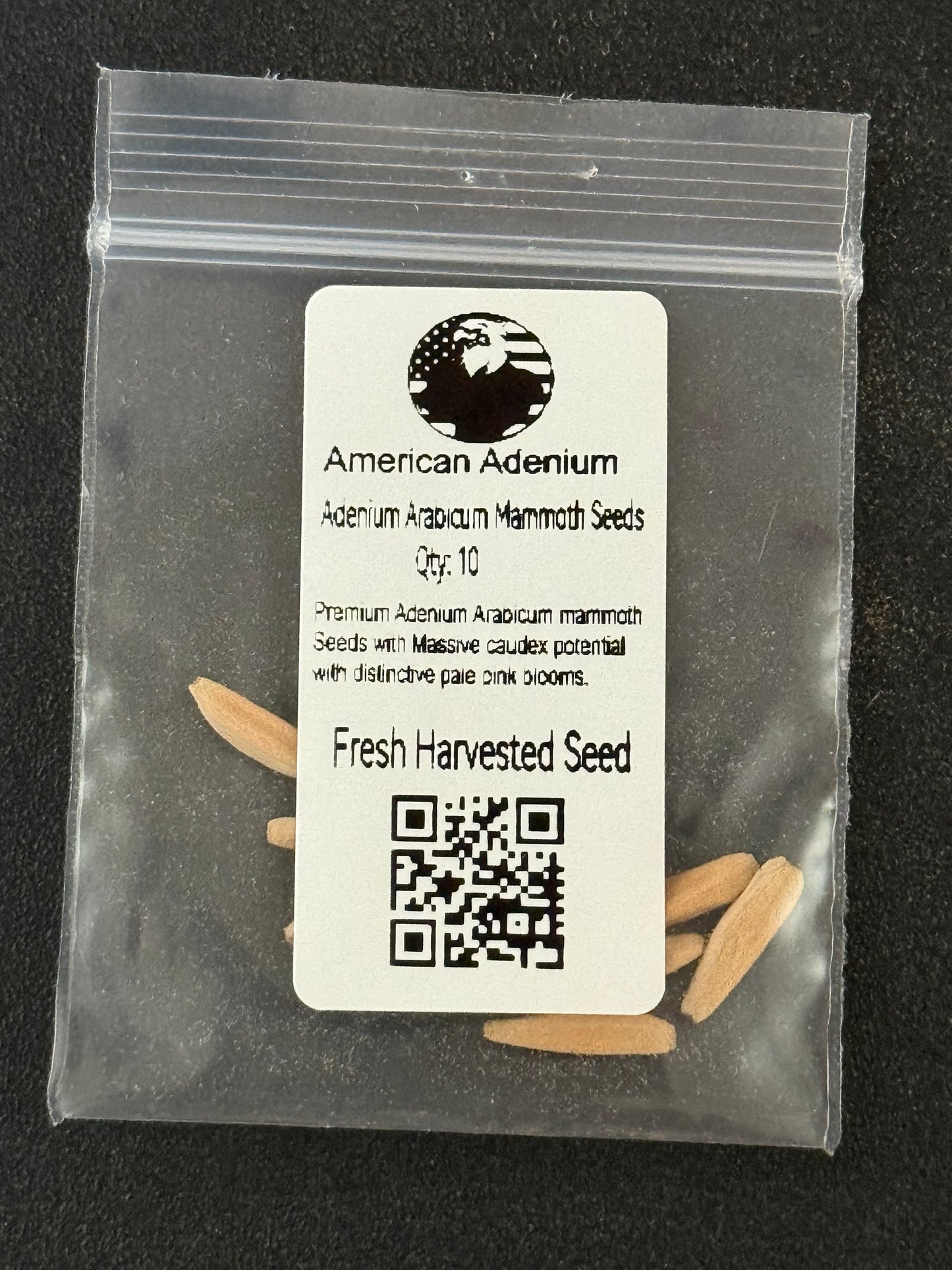 Adenium Arabicum Mammoth Seeds Qty 10