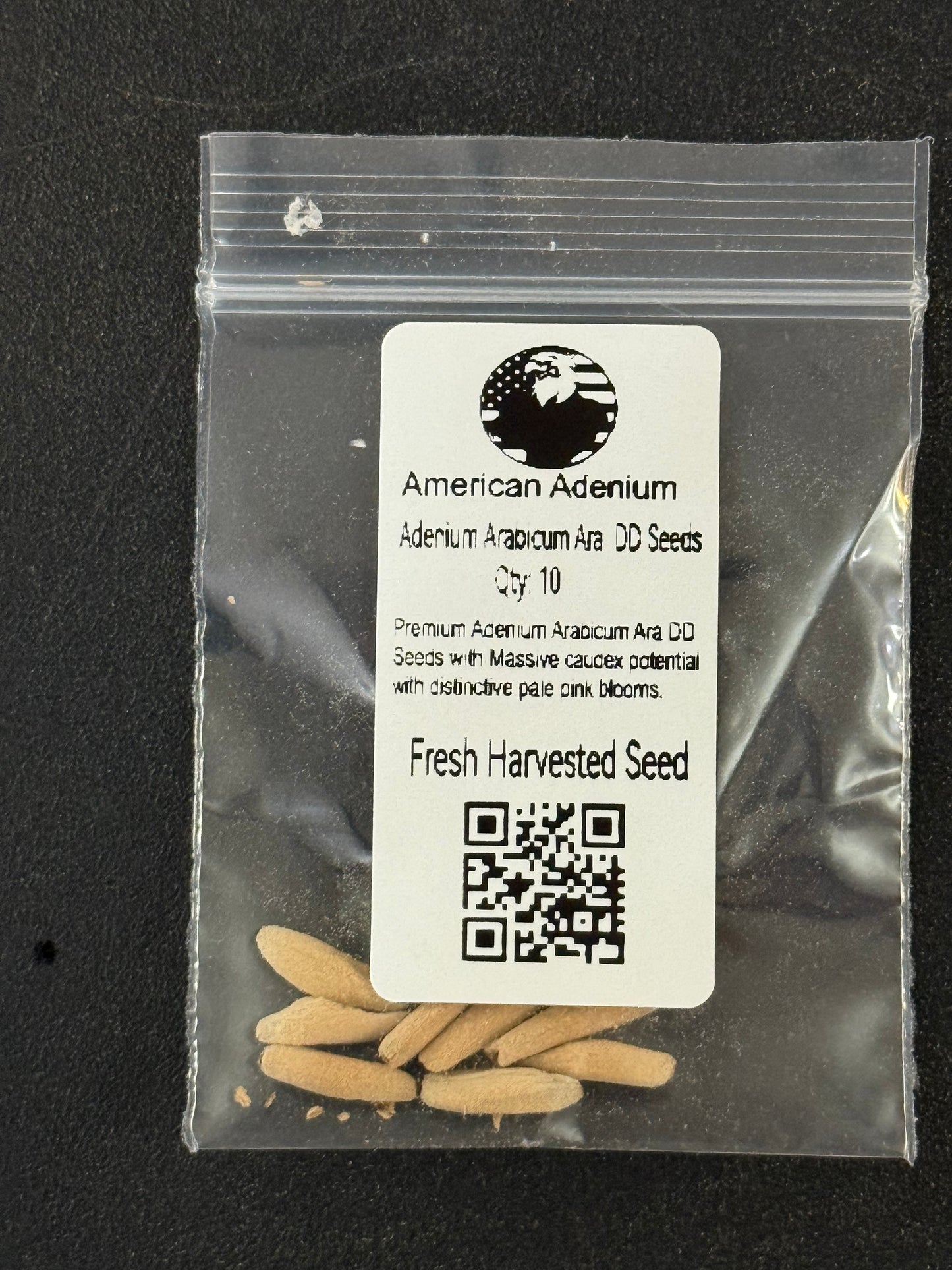 Adenium Arabicum Ara DD Seeds Qty 10 Seeds