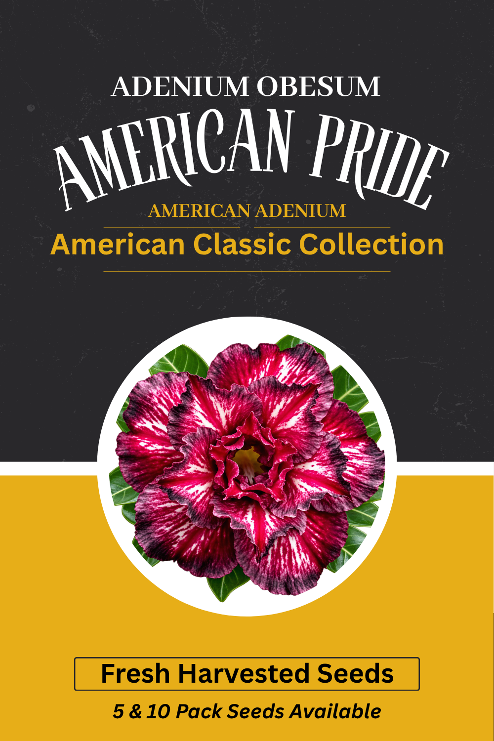 Adenium obesum 'American Pride' Seeds