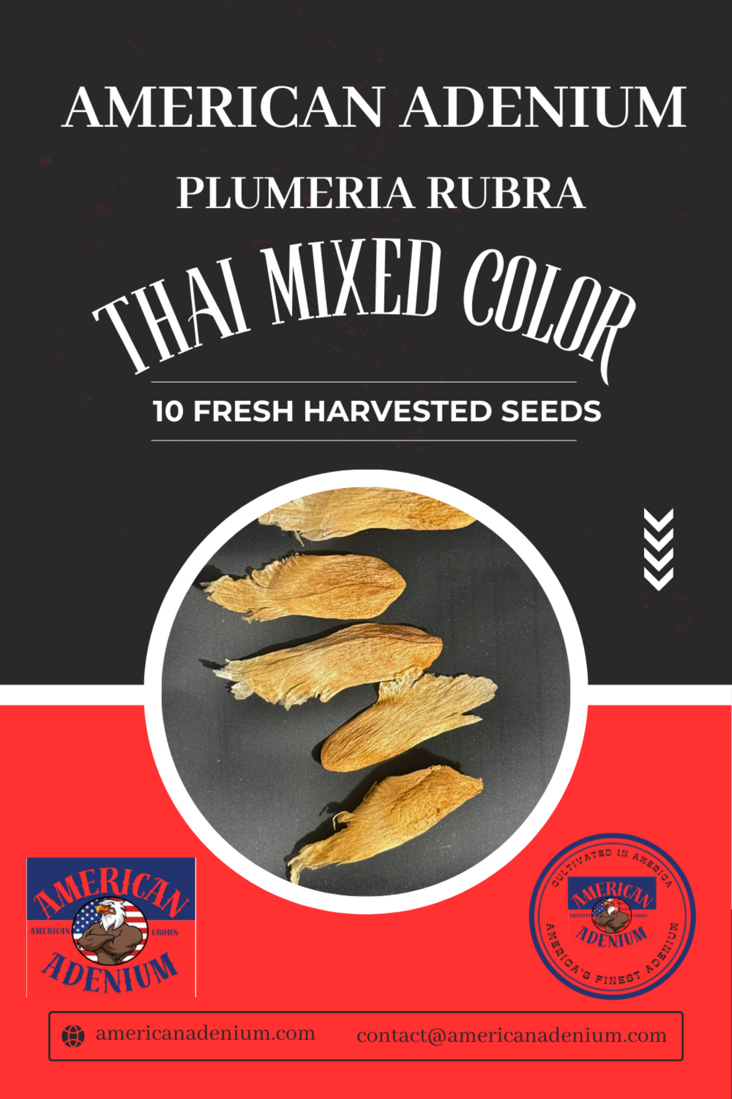 Plumeria Thai Strain Mixed Color 25 Seeds per Package