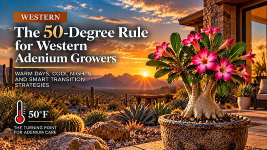 The 50-Degree Rule in the West: Desert Days, Cold Nights