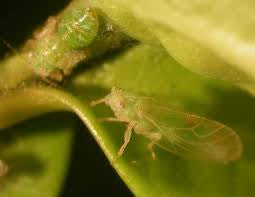 Pest Prevention During Indoor Storage