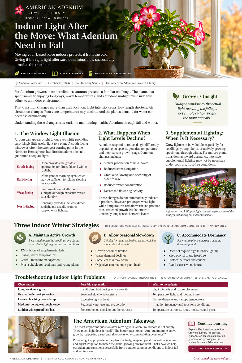 American Adenium illustrated guide to indoor fall light for Desert Rose