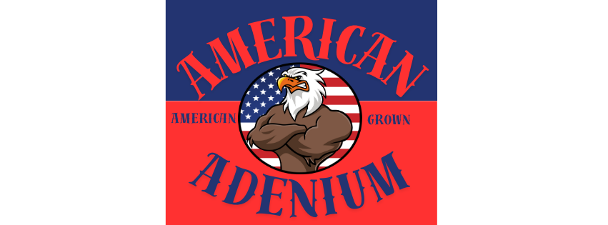 American Adenium - Featured Catalog Collection