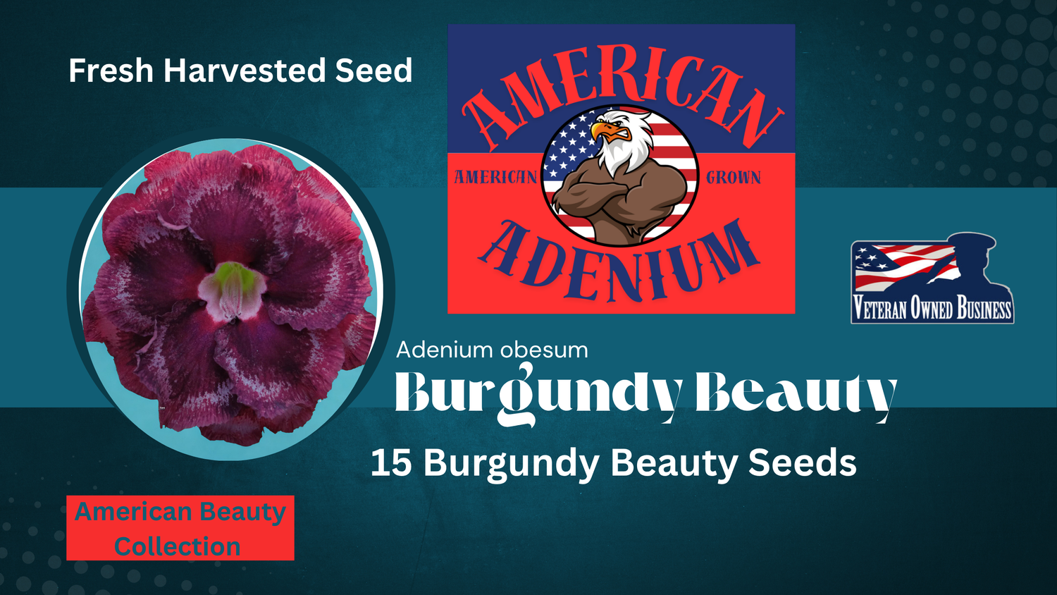 American Beauty Collection