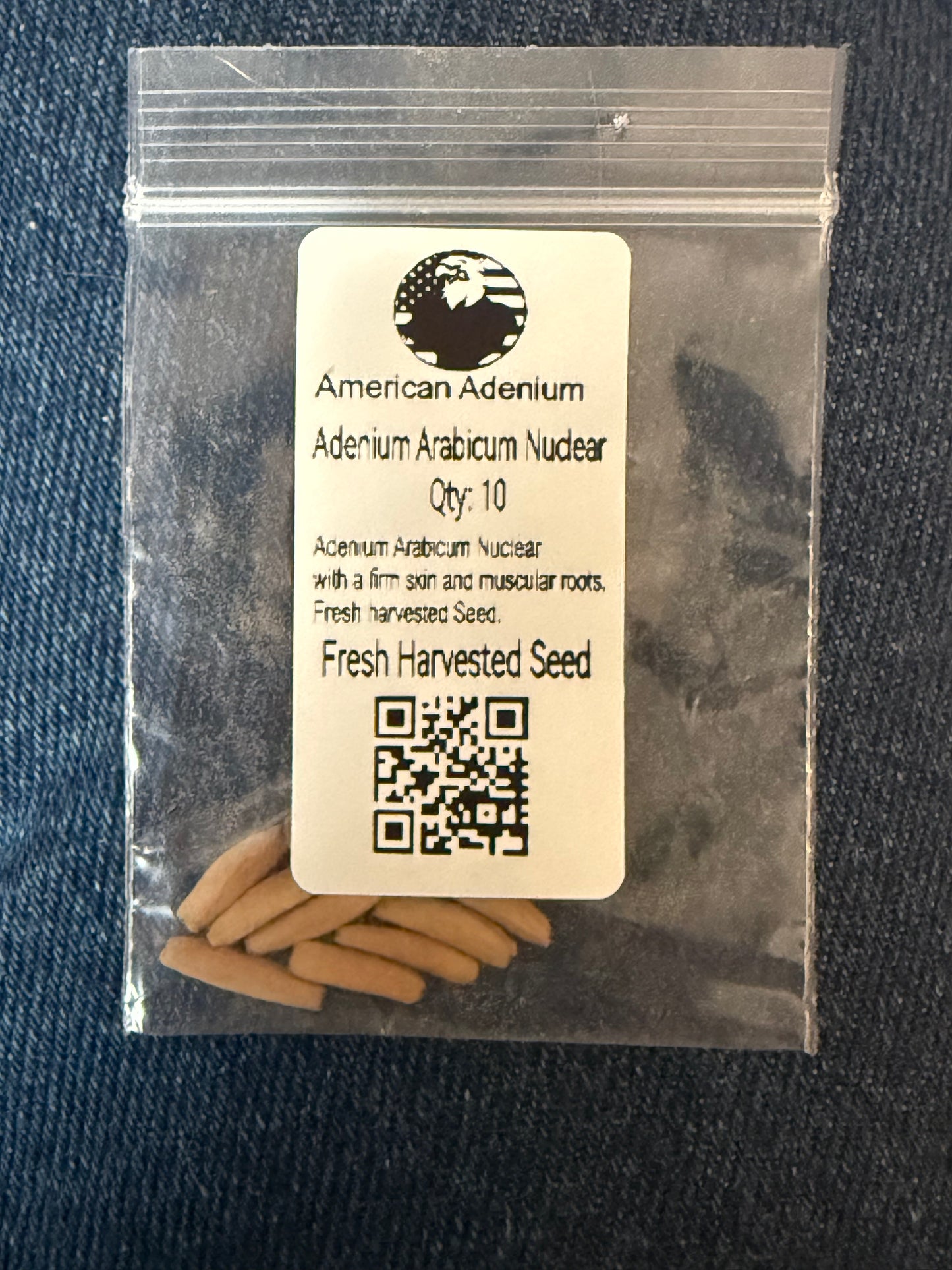 Adenium Arabicum Nuclear