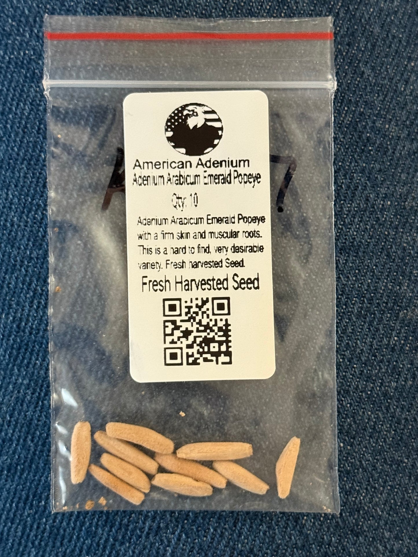 Adenium Arabicum Emerald Popeye 10 seeds