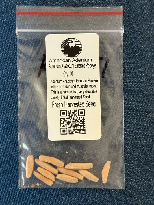Adenium Arabicum Emerald Popeye 10 seeds