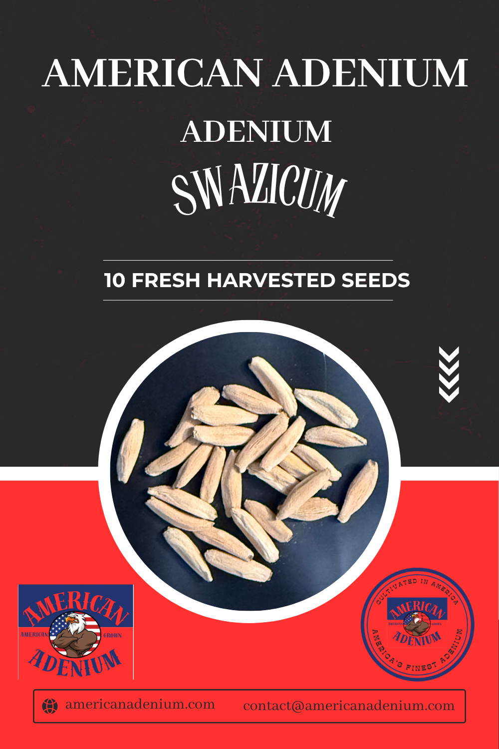 Adenium swazicum — Summer Impala Lily Seeds (Southern Africa Species)