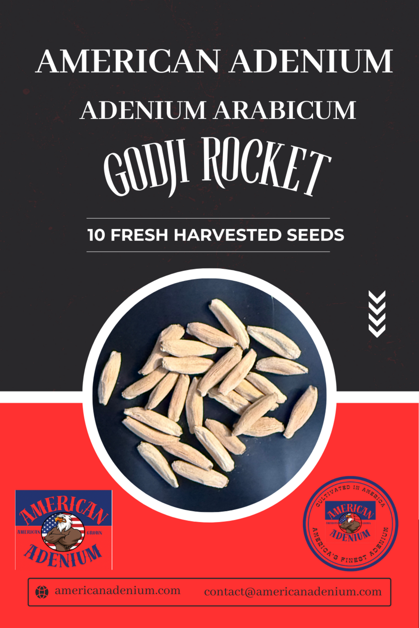 Adenium Arabicum Godji Rocket 10 Seeds