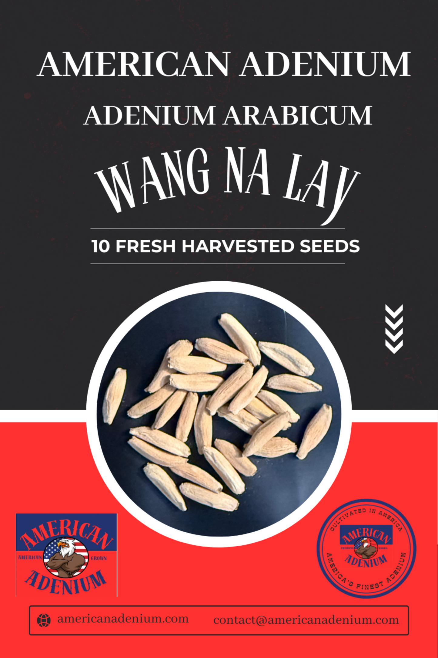 Adenium Arabicum Wang Na Lay 10 seeds package