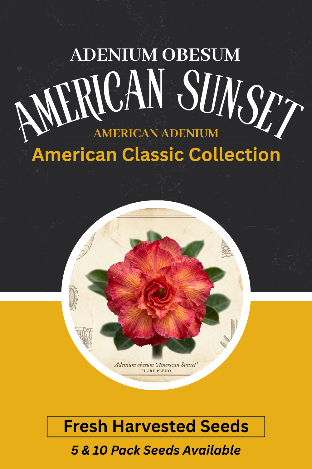 Adenium obesum 'American Sunset' Seeds