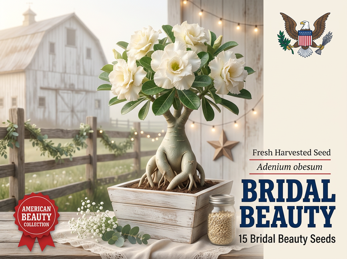Bridal Beauty Adenium obesum seeds 15ct