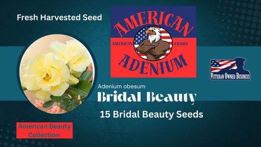 Bridal Beauty Adenium obesum seeds 15ct