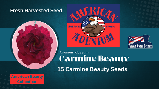 Carmine Beauty Adenium obesum seeds 15ct