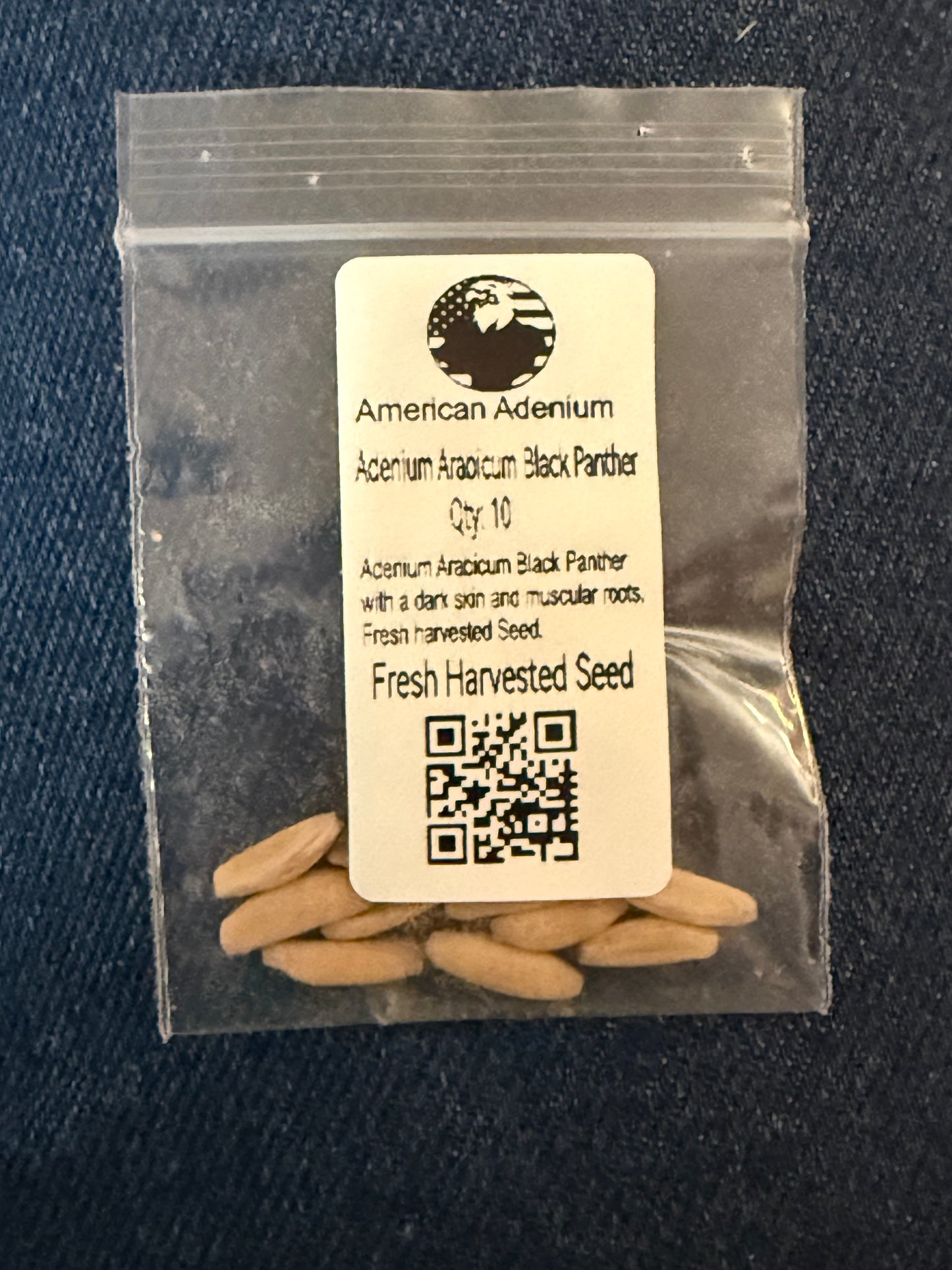 Adenium Arabicum Black Panther Qty 10 seeds