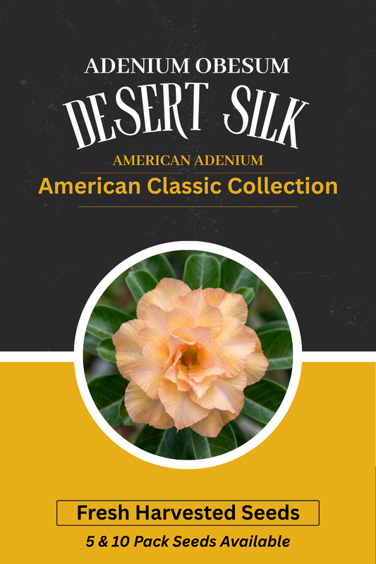 Adenium Obesum Desert Silk