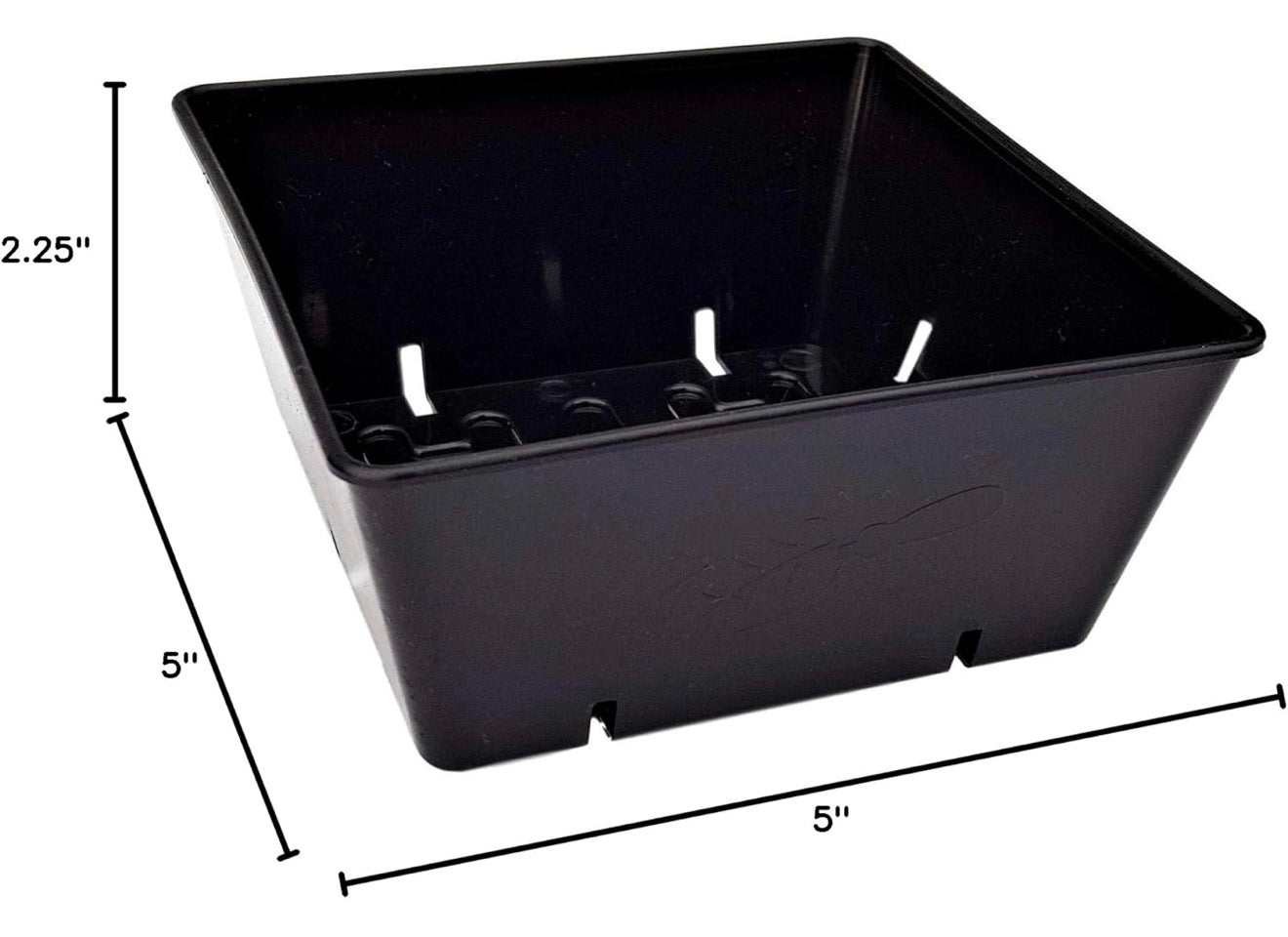 5x5 Germination Tray