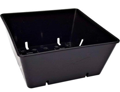 5x5 Germination Tray