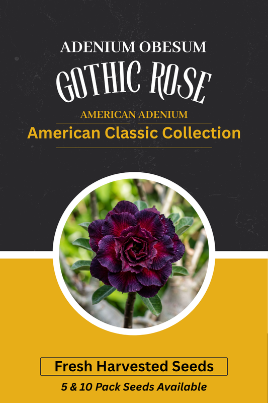 Adenium obesum 'Gothic Rose' Seeds