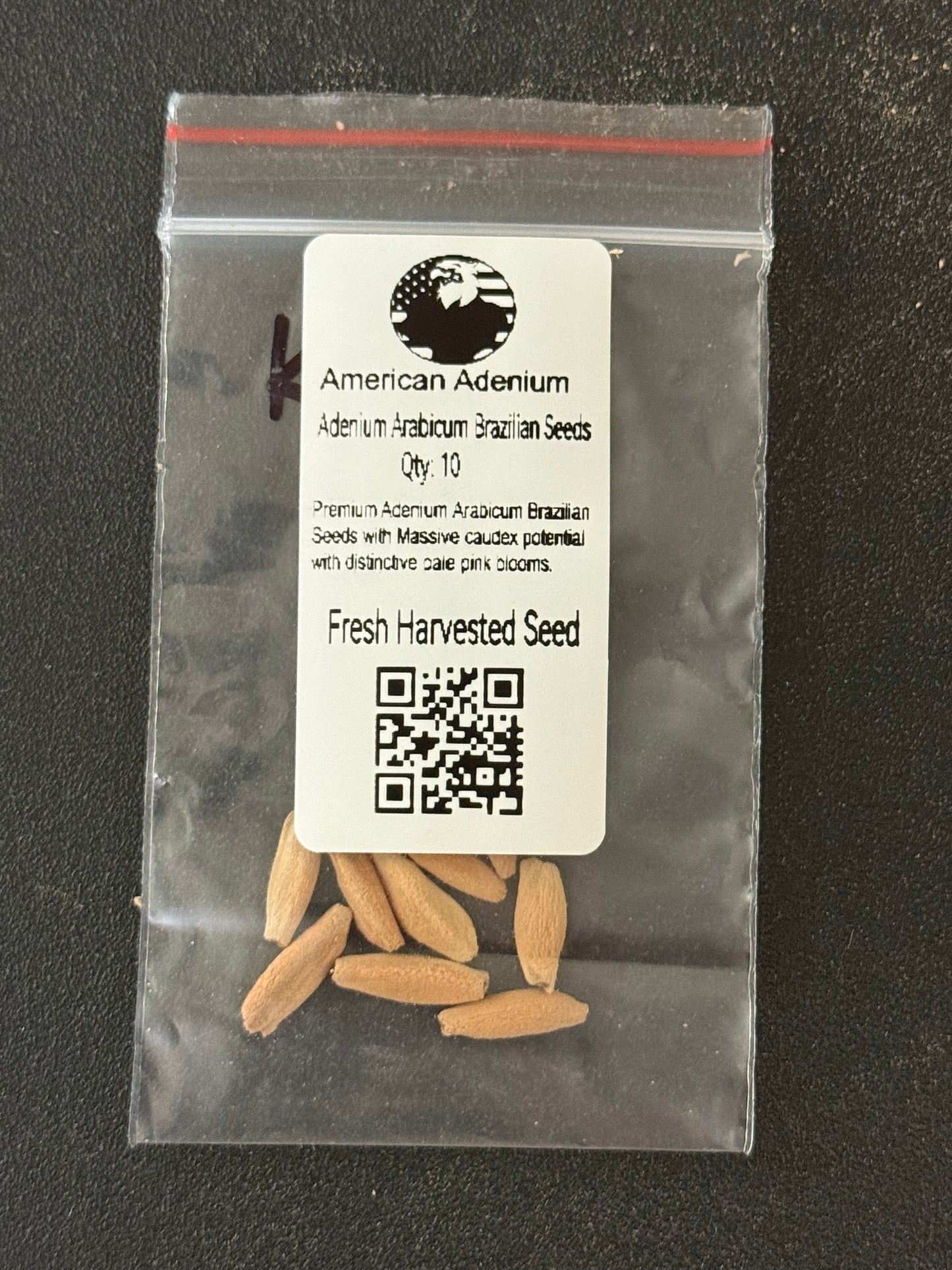 Adenium Arabicum Brazilian Seeds Qty 10
