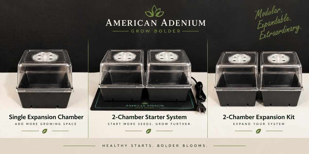 American Adenium two-chamber seed germination starter system for Adenium propagation