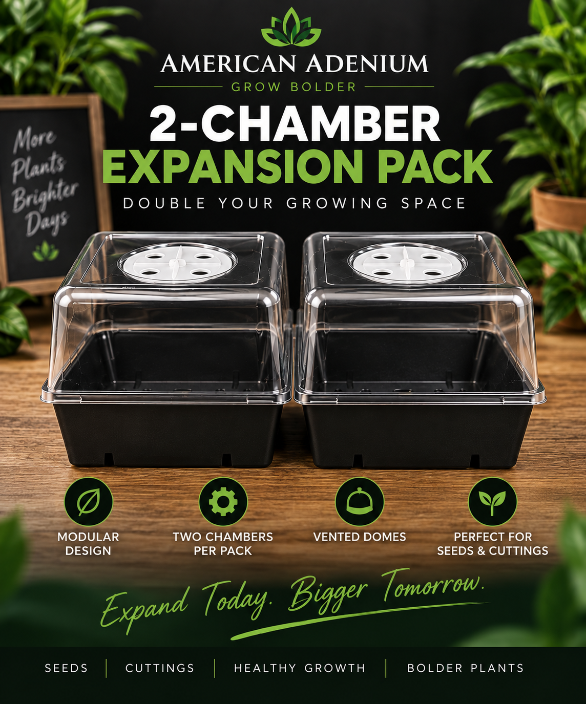 American Adenium 2-Chamber Expansion Pack with two propagation trays and vented humidity domes