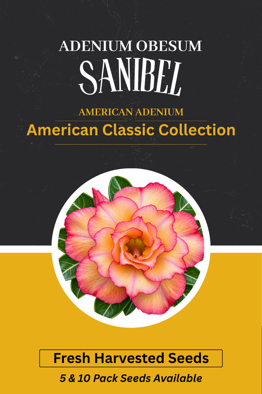 Adenium obesum 'Sanibel' Seeds