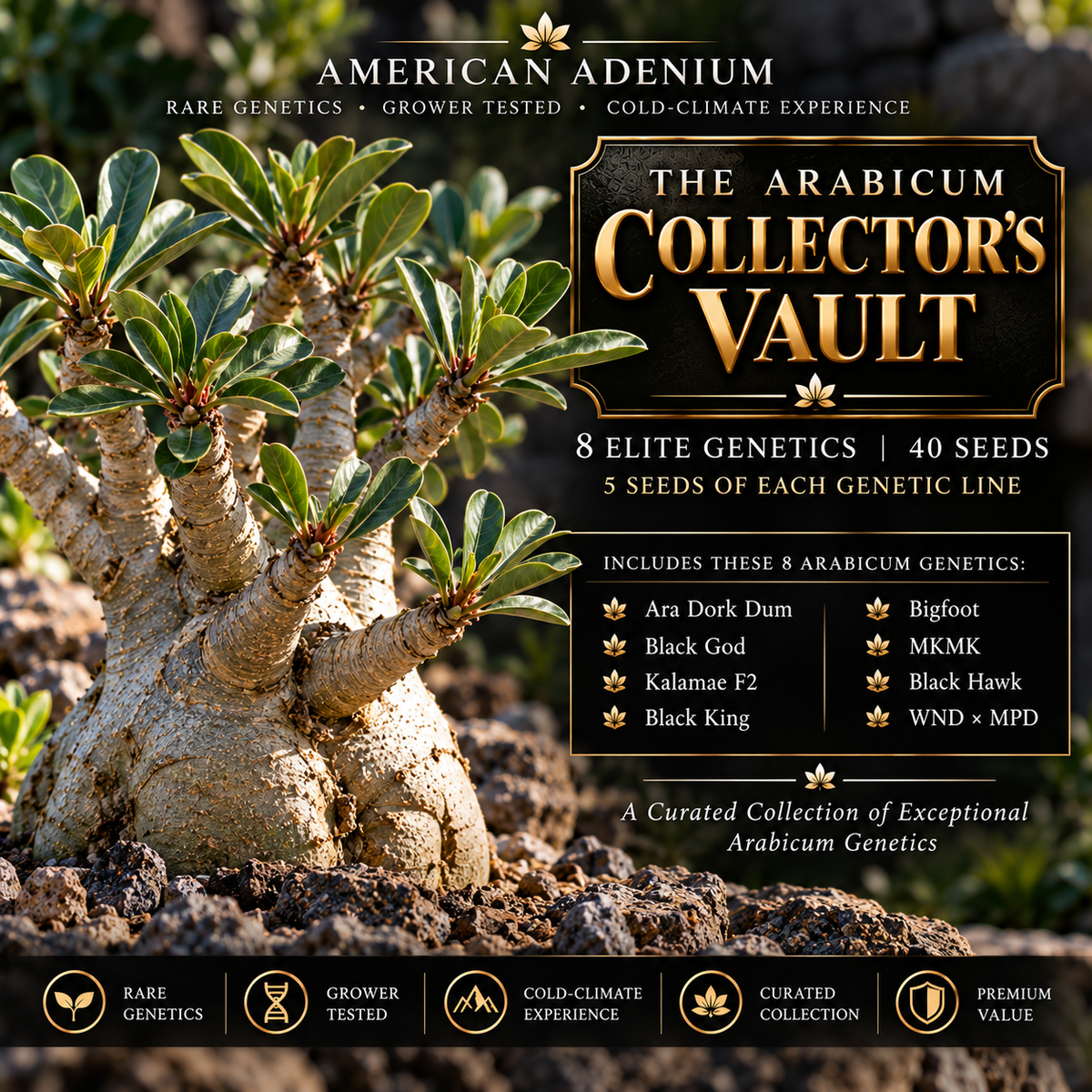 The Arabicum Collector’s Vault — 8 Elite Genetics | 40 Seeds