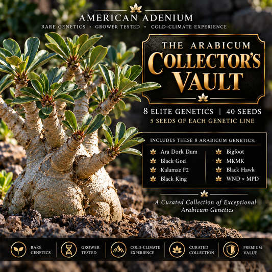 The Arabicum Collector’s Vault — 8 Elite Genetics | 40 Seeds
