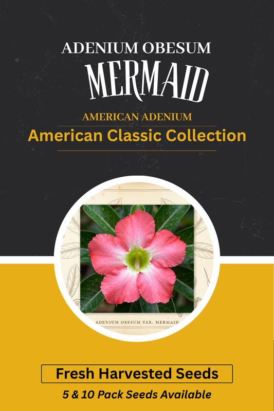 Adenium obesum 'Mermaid' — Bubblegum Pink & Lime Green Throat Desert Rose Seeds