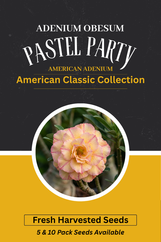 Adenium obesum 'Pastel Party' Seeds