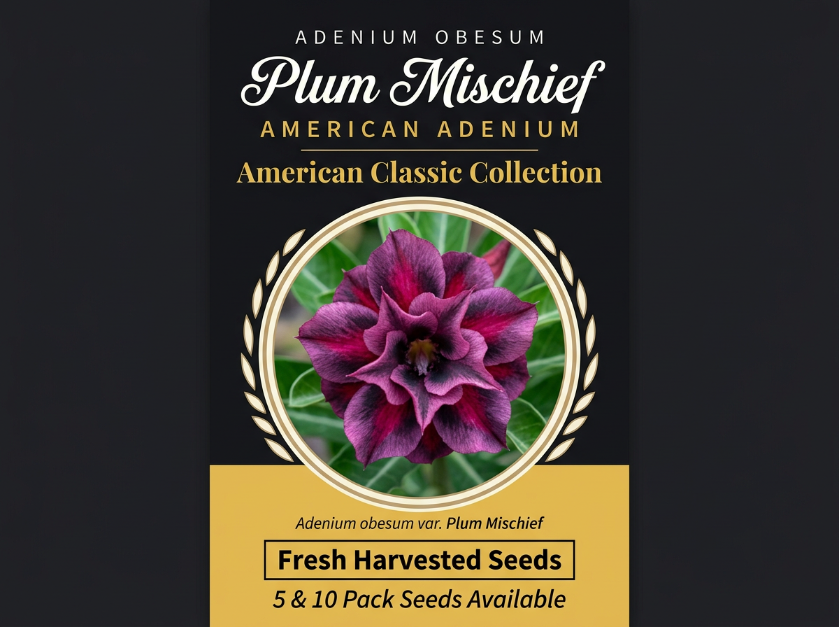 Adenium obesum 'Plum Mischief' Seeds