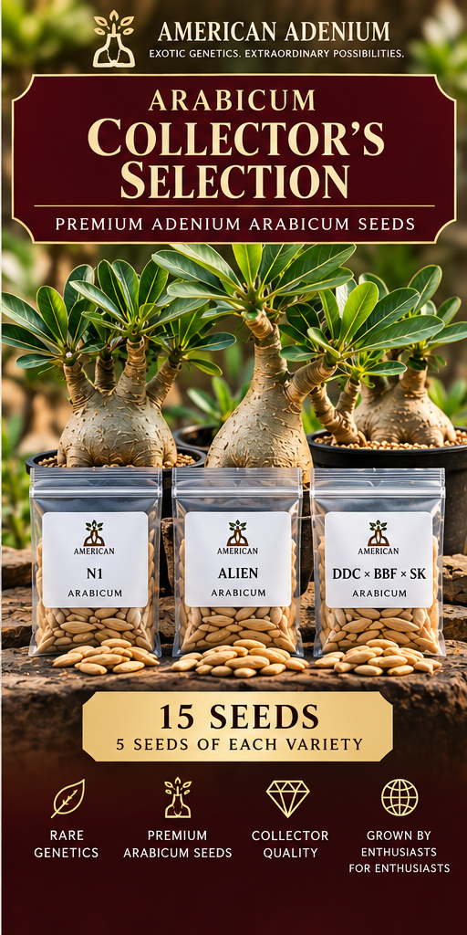 American Adenium Arabicum Collector's Selection collection: three seed varieties, 5 seeds each, 15 total